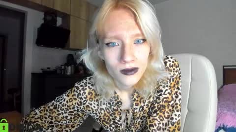 Gaylord online show from November 24, 9:55 am