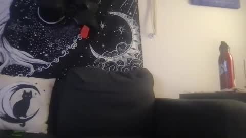 bandit online show from March 10, 11:49 pm