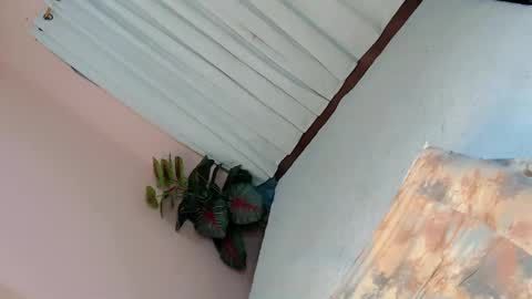 Snapshot of alove_too_last chatting on February 22, 2:19 pm LEXY online show from February 22, 2:19 pm