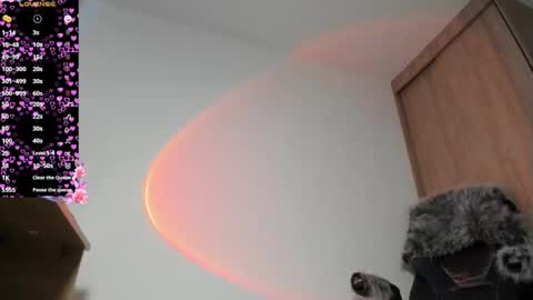 Sammy online show from November 9, 3:57 pm