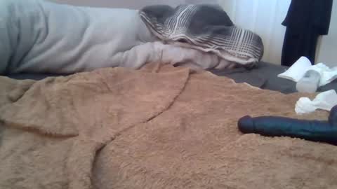 cummbumm69 online show from August 2, 12:16 pm
