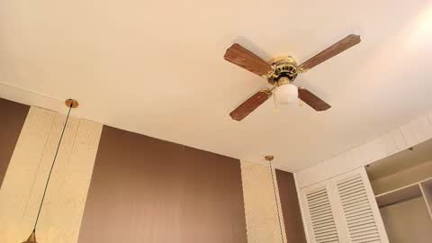 Dannamunoz130 online show from November 12, 12:04 pm