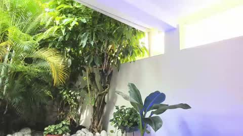 Dannamunoz130 online show from May 31, 1:29 pm
