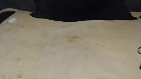 elgsslt online show from February 17, 2:57 pm