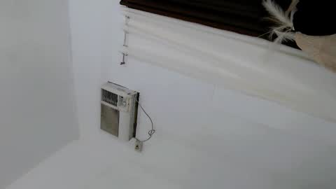 Jasmine online show from December 14, 11:22 pm