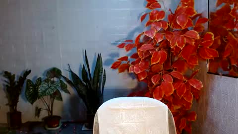 fuckme811826 online show from September 23, 10:20 am