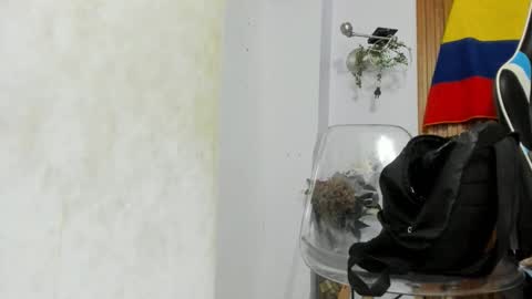 galactica_7 online show from September 13, 11:27 am