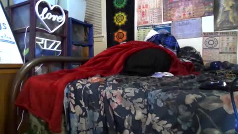 Gardenia online show from October 24, 7:35 am