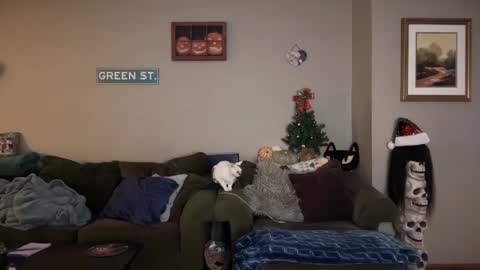 Snapshot of greenxxxqueen chatting on December 13, 6:31 am SexQueen Nikki online show from December 13, 6:31 am