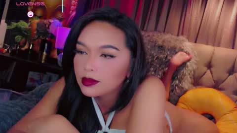 HAYFA online show from November 11, 6:26 am