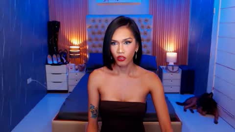 Jynx online show from November 15, 12:52 am