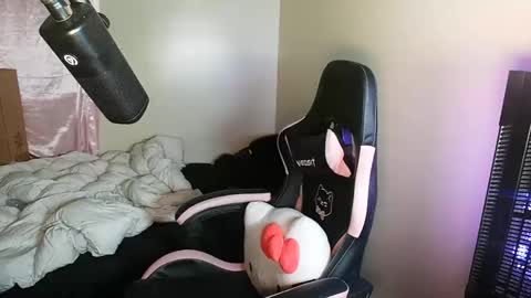 Latin Dholl online show from September 22, 8:08 am