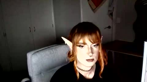 Bambii online show from January 16, 1:40 pm