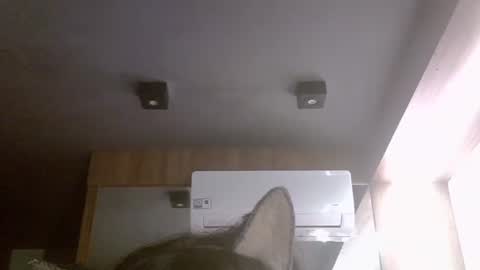 skinnykittencam online show from June 3, 2:02 am