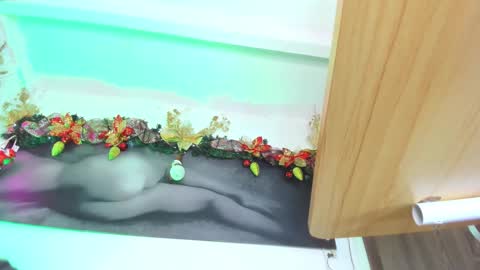 sophie_004 online show from December 15, 1:23 am