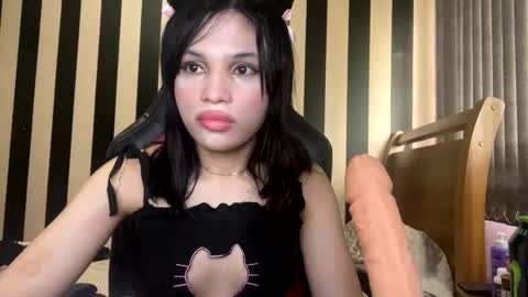 stellapapillon online show from February 26, 4:45 pm