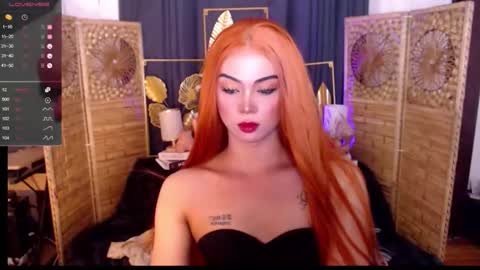 transsitips online show from May 21, 4:41 am