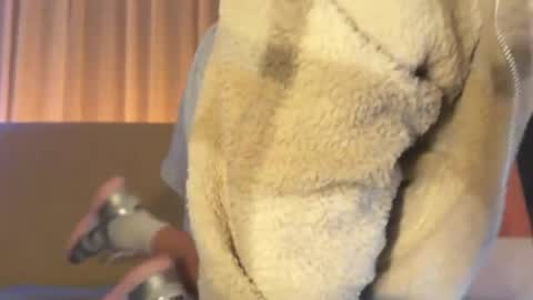 tslivexxx online show from June 26, 8:40 am