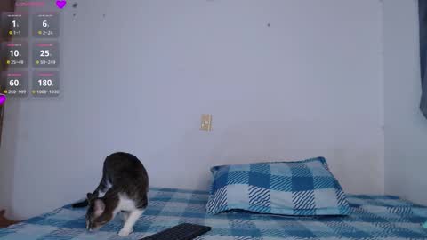 IG-valen mendoza99  twitter valenthompson99 online show from February 27, 11:33 pm