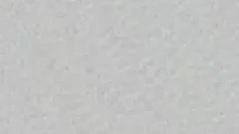 wetpupy online show from June 24, 8:12 am