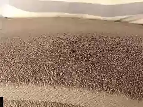 mikellwilliams10 online show from March 11, 8:53 pm