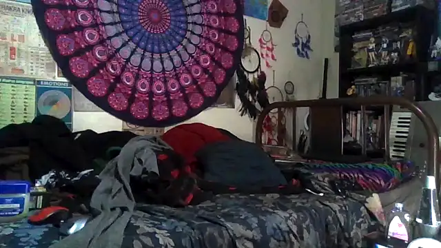 GardeniaFields online show from November 30, 6:38 am