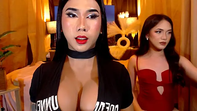TRANSPORNIDOL online show from May 12, 5:32 pm