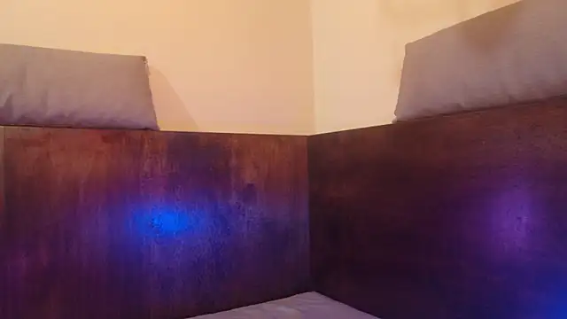 Shelly bat online show from February 12, 10:49 pm